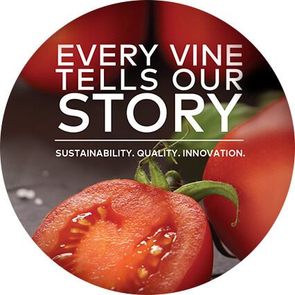 Every Vine Tells Our Story: Sustainability, Quality, Innovation
